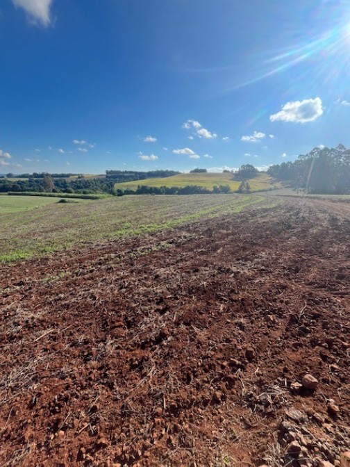 ÁREA RURAL DE 1 HA / DENTRO DE ÁREA MAIOR / PARTE DO LOTE Nº 83 / SEÇÃO BRASIL / BELA VISTA / DERRUBADAS - RS, localizado em Derrubadas - RS
