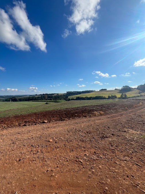 ÁREA RURAL DE 1 HA / DENTRO DE ÁREA MAIOR / PARTE DO LOTE Nº 83 / SEÇÃO BRASIL / BELA VISTA / DERRUBADAS - RS, localizado em Derrubadas - RS