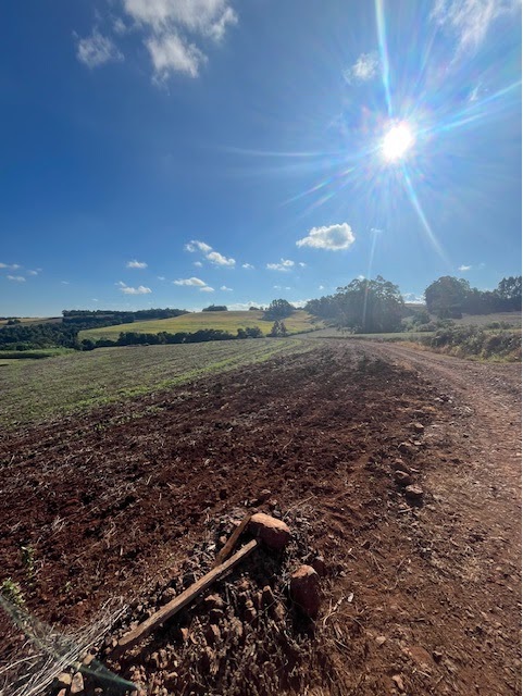 ÁREA RURAL DE 1 HA / DENTRO DE ÁREA MAIOR / PARTE DO LOTE Nº 83 / SEÇÃO BRASIL / BELA VISTA / DERRUBADAS - RS, localizado em Derrubadas - RS