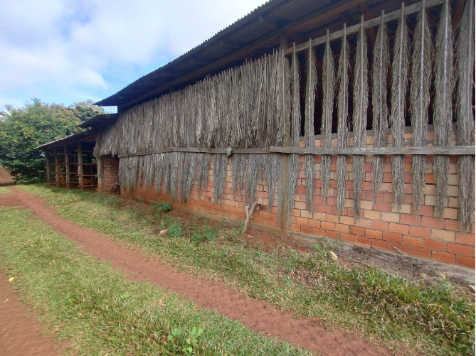UMA GLEBA DE TERRAS RURAIS COM 5,33 HAS DO NÚCLEO TRITÍCOLA / FREI ROGÉRIO - SC, localizado em Frei Rogério - SC