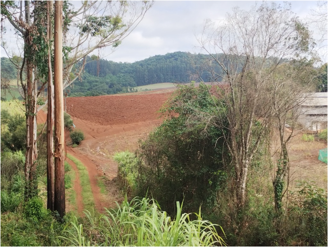 UMA GLEBA DE TERRAS RURAIS COM 5,33 HAS DO NÚCLEO TRITÍCOLA / FREI ROGÉRIO - SC, localizado em Frei Rogério - SC