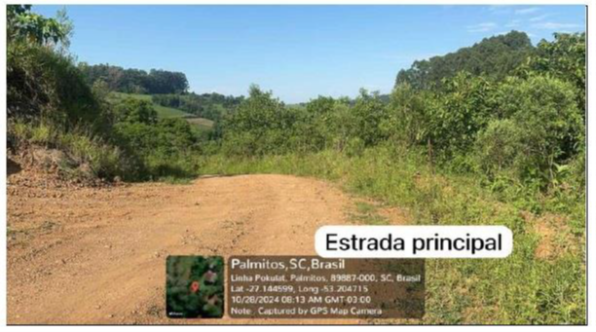 PARTE DO LOTE MAIOR LESTE / LOTE RURAL Nº 13 / 3ª SEÇÃO PASSARINHOS / LINHA PASSARINHOS - INTERIOR DE PALMITOS - SC / COM 5 HA E BENFEITORIAS PENDENTES DE AVERBAÇÃO, localizado em Palmitos - SC