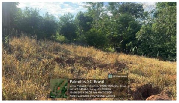 PARTE DO LOTE MAIOR LESTE / LOTE RURAL Nº 13 / 3ª SEÇÃO PASSARINHOS / LINHA PASSARINHOS - INTERIOR DE PALMITOS - SC / COM 5 HA E BENFEITORIAS PENDENTES DE AVERBAÇÃO, localizado em Palmitos - SC