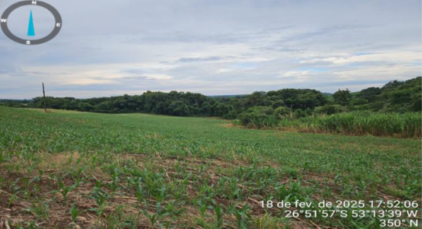 PARTE DO LOTE RURAL Nº 243 DA SEÇÃO PINDÓ, COM SUPERFÍCIE DE 98.000,00M², LOCALIZADO NA LINHA VERA CRUZ ALTA S/Nº / COM BENFEITORIAS / INTERIOR DO MUNICÍPIO DE CUNHA PORÃ - SC, localizado em Cunha Porã - SC