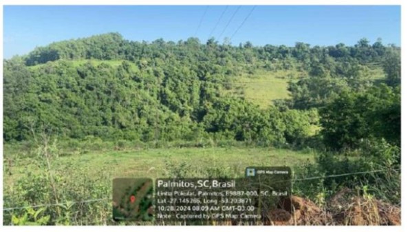PARTE DO LOTE MAIOR LESTE / LOTE RURAL Nº 13 / 3ª SEÇÃO PASSARINHOS / LINHA PASSARINHOS - INTERIOR DE PALMITOS - SC / COM 5 HA E BENFEITORIAS PENDENTES DE AVERBAÇÃO, localizado em Palmitos - SC