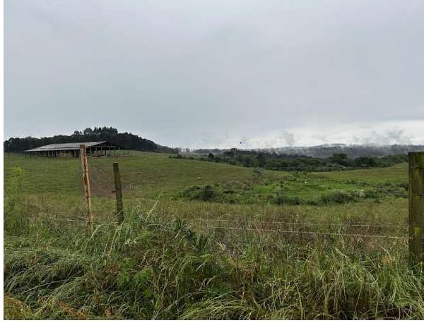 ÁREA SEM BENFEITORIAS COM 4,2833 HA/ “CHÁCARA ANDRADE” RIO MANSINHO / FRAIBURGO- SC, localizado em Fraiburgo - SC