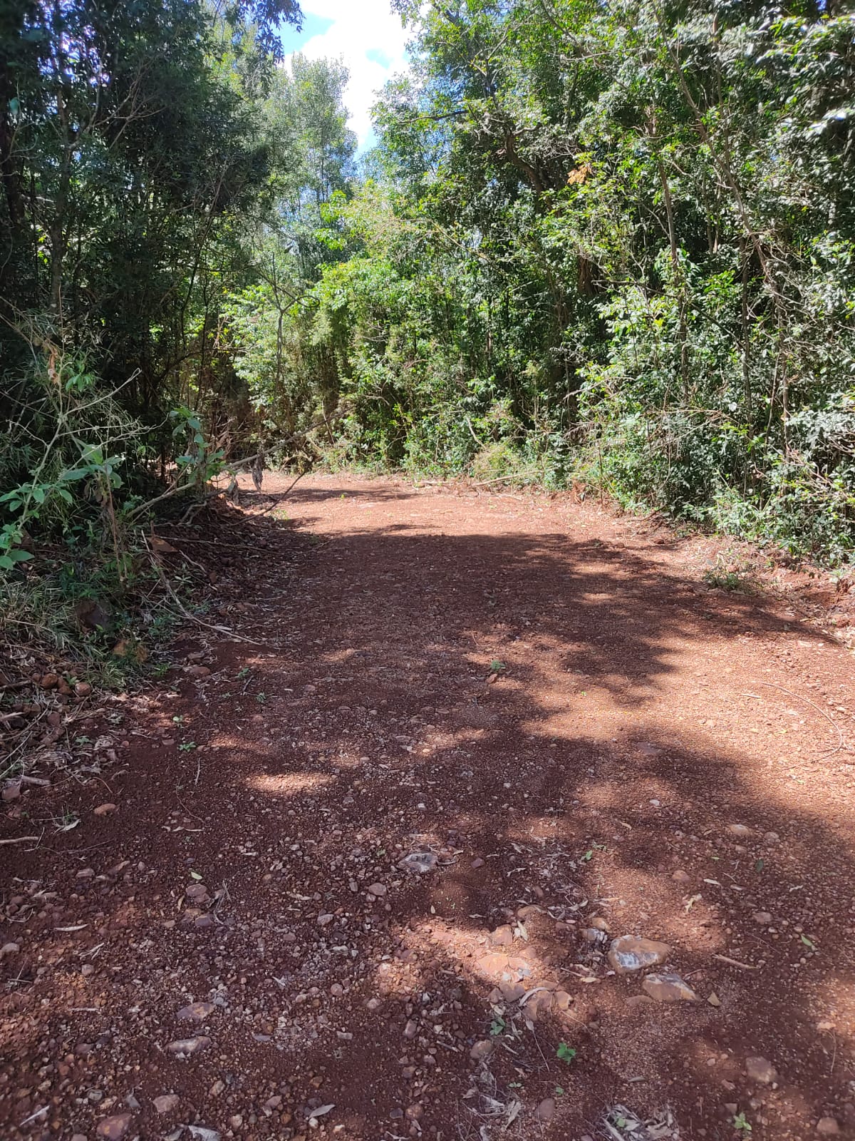 ÁREA DE TERRAS DE 2 HA / DENTRO DE MAIOR ÁREA (7 HA) / COM BENFEITORIAS (GALPÃO 36M²) / SÃO JOSÉ DO INHACORÁ - RS, localizado em São José Do Inhacorá - RS
