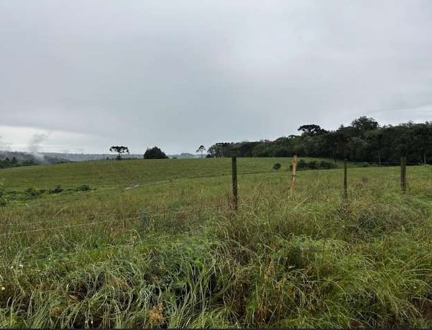 ÁREA SEM BENFEITORIAS COM 4,2833 HA/ “CHÁCARA ANDRADE” RIO MANSINHO / FRAIBURGO- SC, localizado em Fraiburgo - SC
