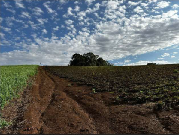 GLEBA DE TERRAS RURAIS DO NÚCLEO TRITÍCOLA COM ÁREA SUPERFICIAL DE 53,285 HA + GALPÃO DE MADEIRA DE 500M² / FREI ROGÉRIO - SC, localizado em Frei Rogério - SC