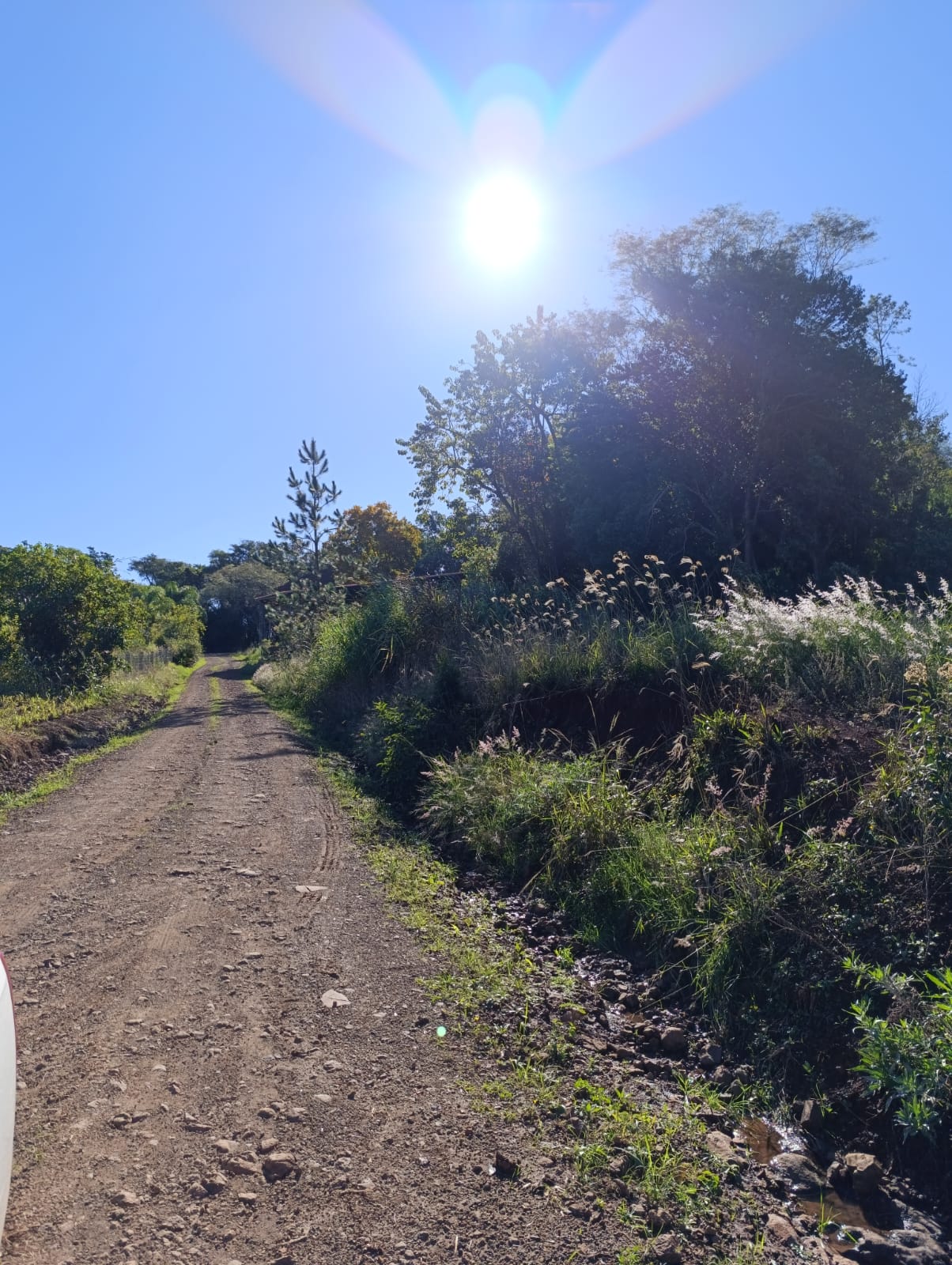 LOTE RURAL Nº 45 DE 4.660M² DENTRO DE ÁREA MAIOR + BENFEITORIAS (508M²) / 2ª SECÇÃO BURICÁ / VISTA ALTA - BOA VISTA DO BURICÁ - RS, localizado em Boa Vista Do Buricá - RS