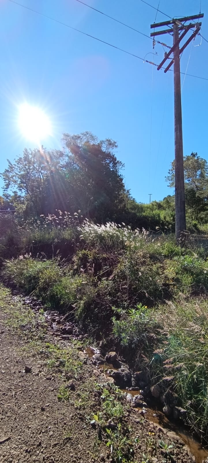 LOTE RURAL Nº 45 DE 4.660M² DENTRO DE ÁREA MAIOR + BENFEITORIAS (508M²) / 2ª SECÇÃO BURICÁ / VISTA ALTA - BOA VISTA DO BURICÁ - RS, localizado em Boa Vista Do Buricá - RS