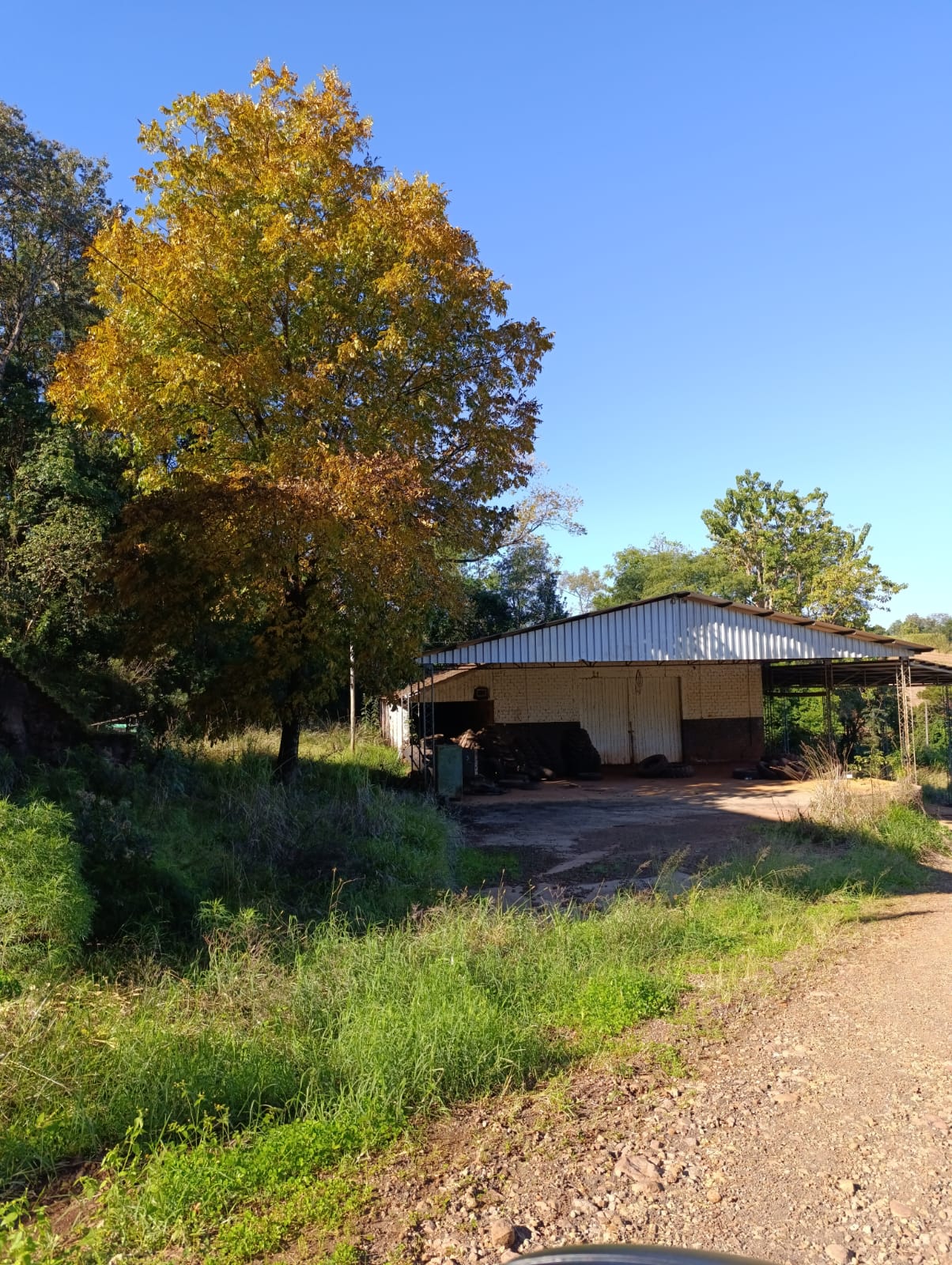 LOTE RURAL Nº 45 DE 4.660M² DENTRO DE ÁREA MAIOR + BENFEITORIAS (508M²) / 2ª SECÇÃO BURICÁ / VISTA ALTA - BOA VISTA DO BURICÁ - RS, localizado em Boa Vista Do Buricá - RS