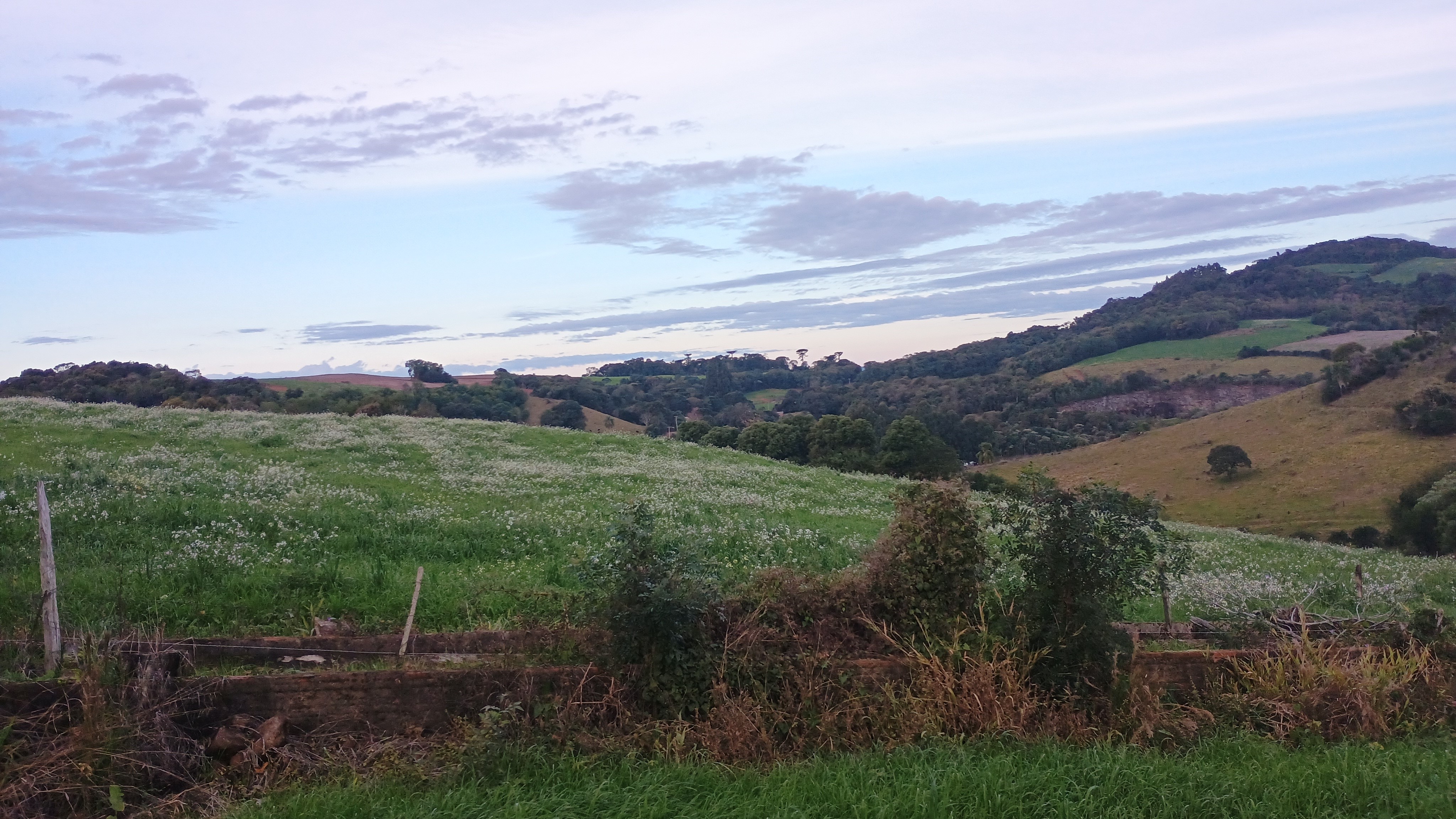Imóvel Rural De 5.000,00m² / Maximiliano De Almeida - Rs, localizado em Maximiliano De Almeida - RS
