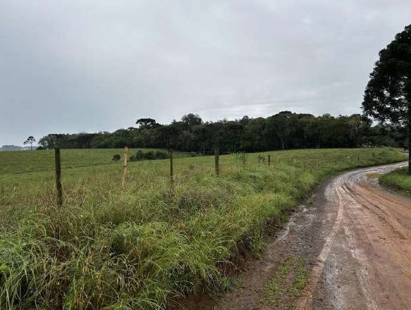 ÁREA SEM BENFEITORIAS COM 4,2833 HA/ “CHÁCARA ANDRADE” RIO MANSINHO / FRAIBURGO- SC, localizado em Fraiburgo - SC