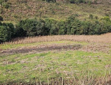 FRAÇÃO IDEAL DE 1,94 HA / SEM BENFEITORIAS / LOCALIDADE SÃO TOMÉ / INTERIOR DE SOLEDADE - RS, localizado em Soledade - RS