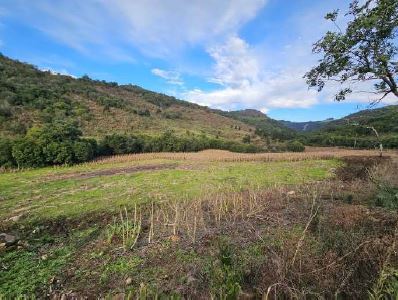 FRAÇÃO IDEAL DE 1,94 HA / SEM BENFEITORIAS / LOCALIDADE SÃO TOMÉ / INTERIOR DE SOLEDADE - RS, localizado em Soledade - RS