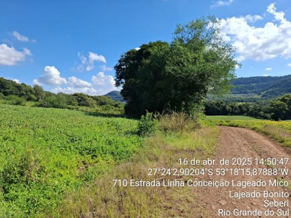 03 IMÓVEIS: FRAÇÃO DO LOTE Nº 199 E METADE JUSTA DO LOTE Nº 200, COM 75.000 M² – LINHA LAJEADO DO MICO + LOTE Nº 205, COM 123.611,12 M² / LINHA CONCEIÇÃO + LOTE Nº 230, COM 125.000 M² LINHA MARTINS. T, localizado em Seberi - RS