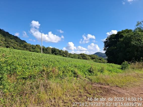 03 IMÓVEIS: FRAÇÃO DO LOTE Nº 199 E METADE JUSTA DO LOTE Nº 200, COM 75.000 M² – LINHA LAJEADO DO MICO + LOTE Nº 205, COM 123.611,12 M² / LINHA CONCEIÇÃO + LOTE Nº 230, COM 125.000 M² LINHA MARTINS. T, localizado em Seberi - RS