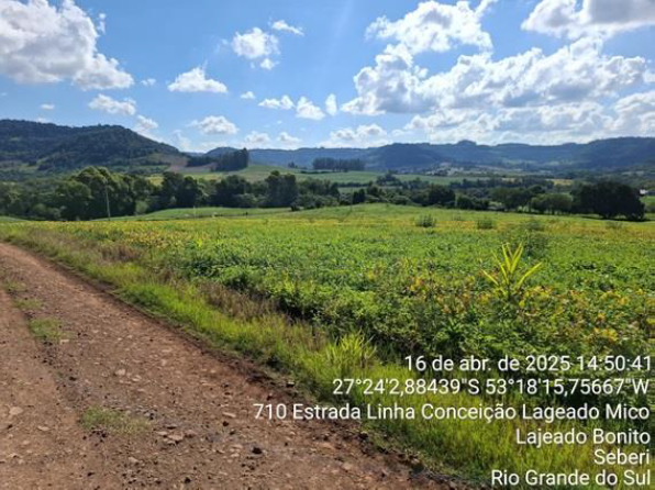 03 IMÓVEIS: FRAÇÃO DO LOTE Nº 199 E METADE JUSTA DO LOTE Nº 200, COM 75.000 M² – LINHA LAJEADO DO MICO + LOTE Nº 205, COM 123.611,12 M² / LINHA CONCEIÇÃO + LOTE Nº 230, COM 125.000 M² LINHA MARTINS. T, localizado em Seberi - RS