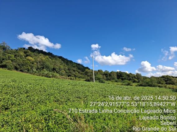 03 IMÓVEIS: FRAÇÃO DO LOTE Nº 199 E METADE JUSTA DO LOTE Nº 200, COM 75.000 M² – LINHA LAJEADO DO MICO + LOTE Nº 205, COM 123.611,12 M² / LINHA CONCEIÇÃO + LOTE Nº 230, COM 125.000 M² LINHA MARTINS. T, localizado em Seberi - RS