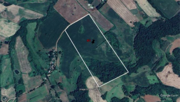 03 IMÓVEIS: FRAÇÃO DO LOTE Nº 199 E METADE JUSTA DO LOTE Nº 200, COM 75.000 M² – LINHA LAJEADO DO MICO + LOTE Nº 205, COM 123.611,12 M² / LINHA CONCEIÇÃO + LOTE Nº 230, COM 125.000 M² LINHA MARTINS. T, localizado em Seberi - RS