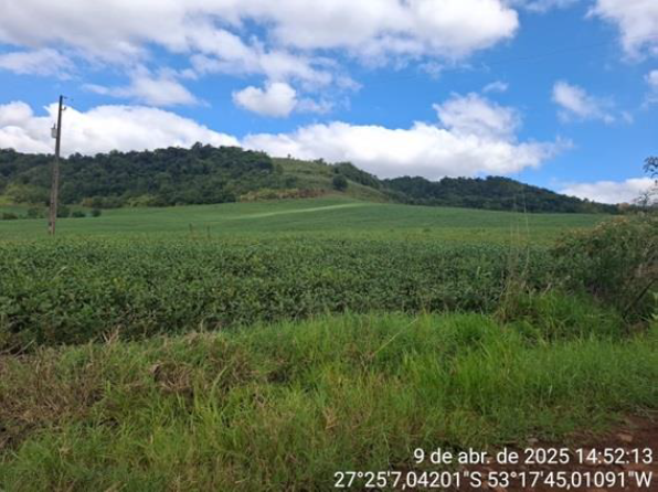 03 IMÓVEIS: FRAÇÃO DO LOTE Nº 199 E METADE JUSTA DO LOTE Nº 200, COM 75.000 M² – LINHA LAJEADO DO MICO + LOTE Nº 205, COM 123.611,12 M² / LINHA CONCEIÇÃO + LOTE Nº 230, COM 125.000 M² LINHA MARTINS. T, localizado em Seberi - RS