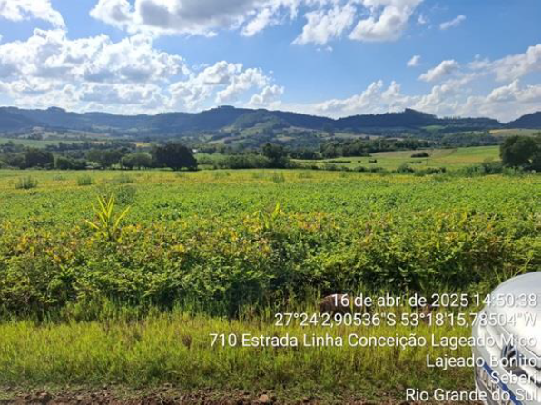 03 IMÓVEIS: FRAÇÃO DO LOTE Nº 199 E METADE JUSTA DO LOTE Nº 200, COM 75.000 M² – LINHA LAJEADO DO MICO + LOTE Nº 205, COM 123.611,12 M² / LINHA CONCEIÇÃO + LOTE Nº 230, COM 125.000 M² LINHA MARTINS. T, localizado em Seberi - RS