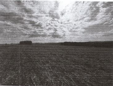 ÁREA RURAL C/ 7 HA - SANTA ROSA - RS, localizado em Santa Rosa - RS