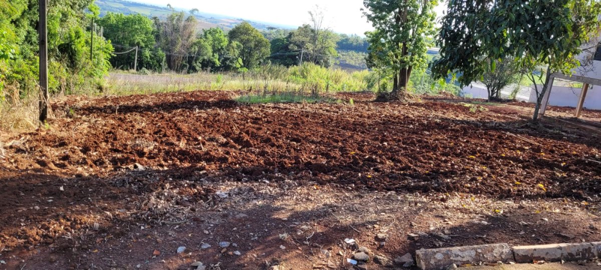 Imóvel Urbano C/ 592,48 M², Sem Benfeitorias, Em Vista Alegre - Rs, localizado em Vista Alegre - RS