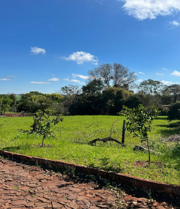 Fração De 87,50% De Um Terreno De 1.232,50m² / Rolador - Rs, localizado em Rolador - RS