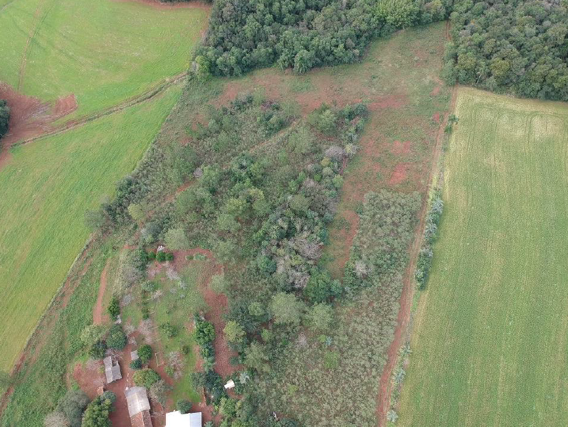 Lote Rural C/ 30.000,00m² Dentro De Uma Área Maior / Santa Rosa - Rs, localizado em Santa Rosa - RS