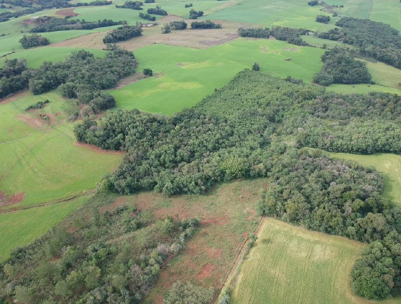 Lote Rural C/ 30.000,00m² Dentro De Uma Área Maior / Santa Rosa - Rs, localizado em Santa Rosa - RS
