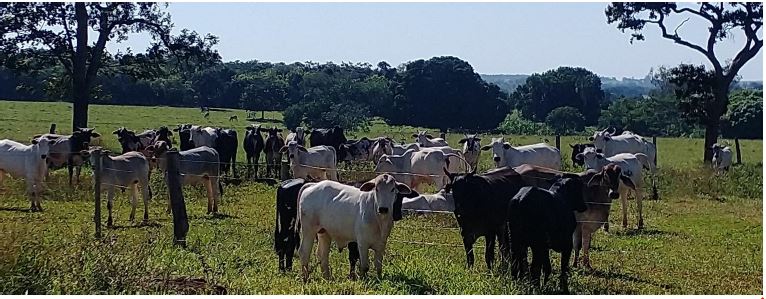 Terreno Rural Com Área De 16,91,59ha / Tupaciguara - Mg, localizado em Tupaciguara - MG
