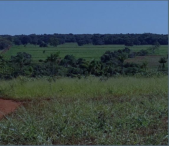 Terreno Rural Com Área De 16,91,59ha / Tupaciguara - Mg, localizado em Tupaciguara - MG