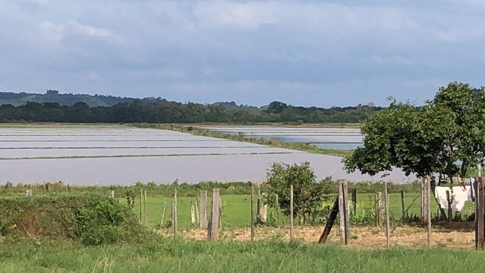 Imóvel Rural De 17.500,00m² / Rio Pardo - Rs., localizado em Rio Pardo - RS