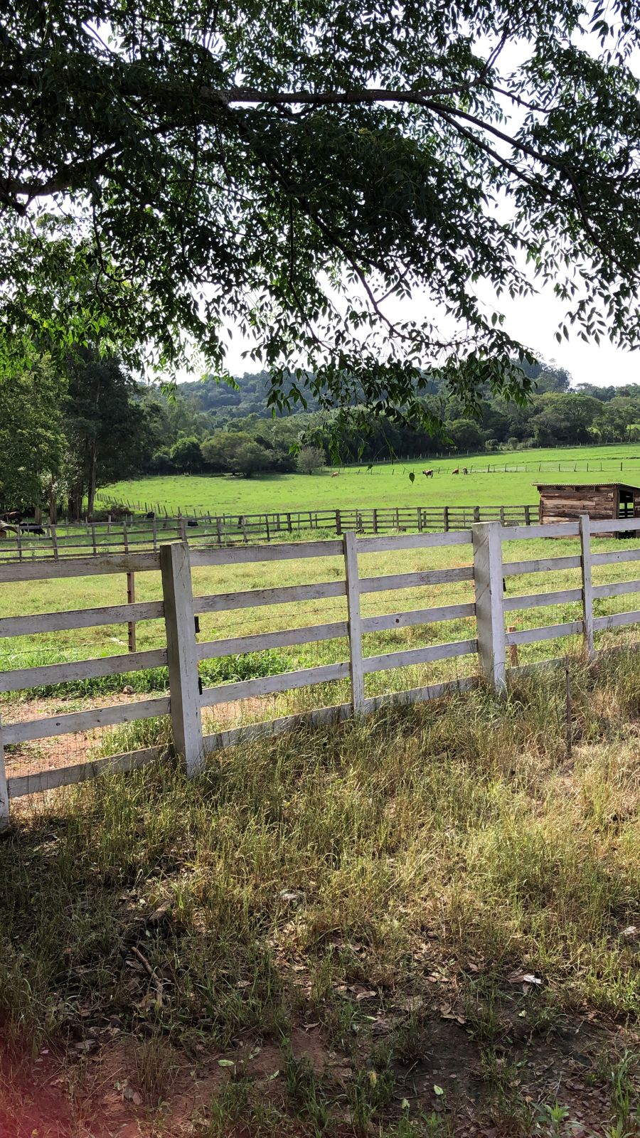 Imóvel Rural De 17.500,00m² / Rio Pardo - Rs., localizado em Rio Pardo - RS