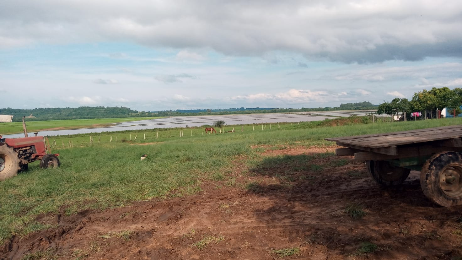 Imóvel Rural De 17.500,00m² / Rio Pardo - Rs., localizado em Rio Pardo - RS