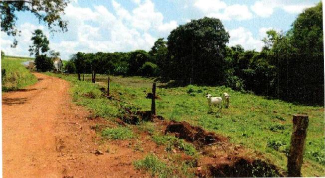 Área De Terras De 30.000m² Com Benfeitorias Não Averbadas / Novo Machado - Rs, localizado em Novo Machado - RS