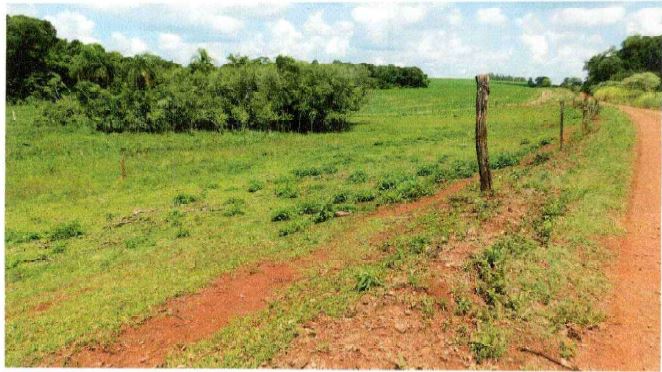 Área De Terras De 30.000m² Com Benfeitorias Não Averbadas / Novo Machado - Rs, localizado em Novo Machado - RS