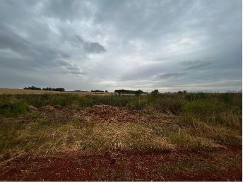 Imóvel Rural De 20,00ha / Santo Ântonio Das Missões - Rs., localizado em Santo Ântonio Das Missões - RS