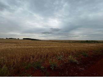 Imóvel Rural De 20,00ha / Santo Ântonio Das Missões - Rs., localizado em Santo Ântonio Das Missões - RS