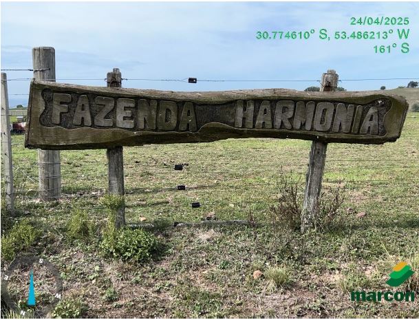 Áreas Rurais No Total De 164,52 Ha / Caçapava Do Sul - Rs., localizado em Caçapava Do Sul - RS