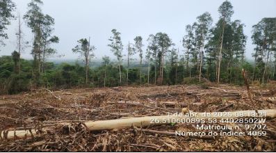 Imóvel Rural De 130.893,00m² / São José Do Cedro - Sc., localizado em São José Do Cedro - SC