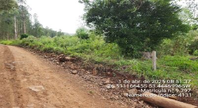Imóvel Rural De 130.893,00m² / São José Do Cedro - Sc., localizado em São José Do Cedro - SC