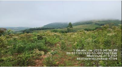 Imóvel Rural De 130.893,00m² / São José Do Cedro - Sc., localizado em São José Do Cedro - SC