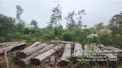 Imóvel Rural De 130.893,00m² / São José Do Cedro - Sc., localizado em São José Do Cedro - SC