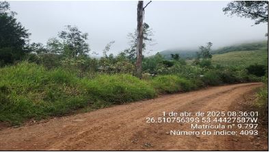 Imóvel Rural De 130.893,00m² / São José Do Cedro - Sc., localizado em São José Do Cedro - SC