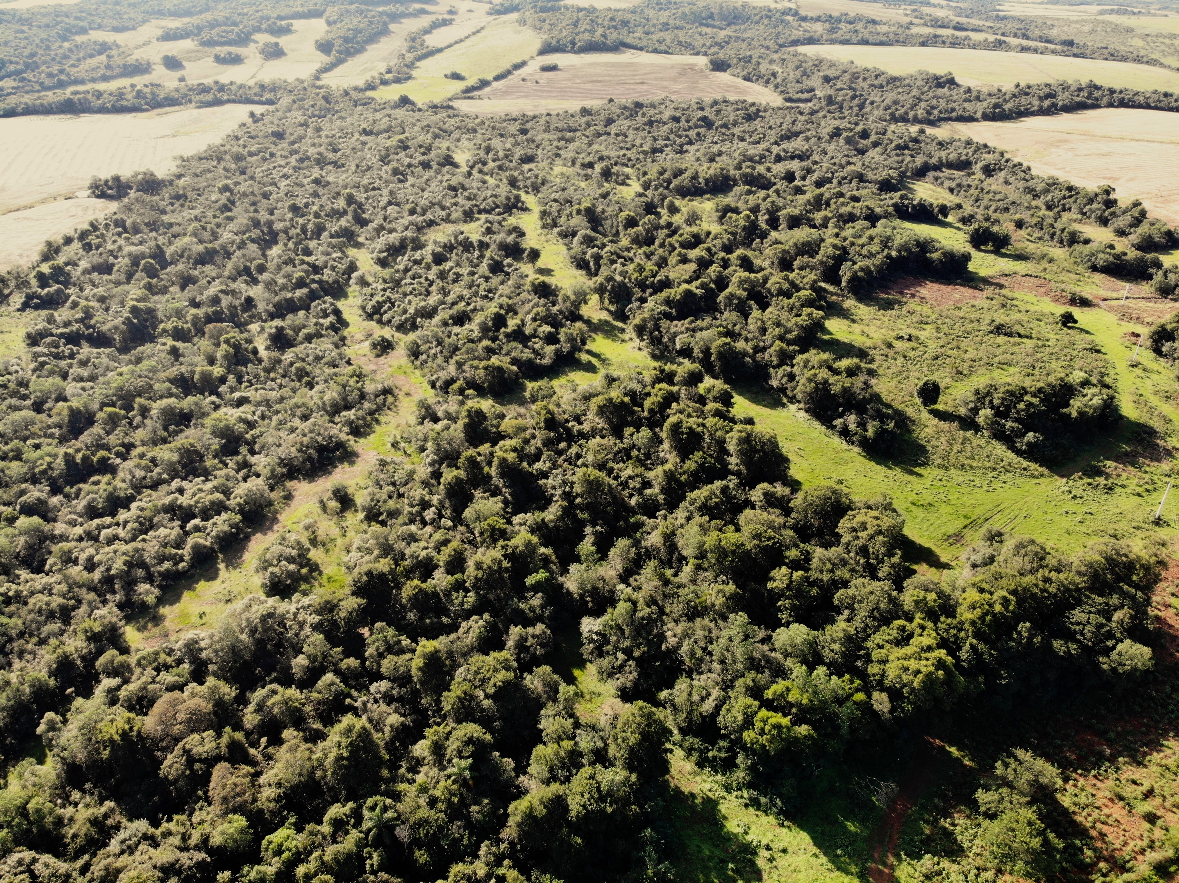 Área Rural De 18 Has / São Miguel Das Missões - Rs, localizado em São Miguel Das Missões - RS