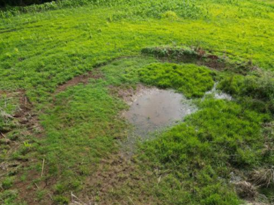 Área Rural De 2,3 Has / São Martinho - Rs, localizado em São Martinho - RS