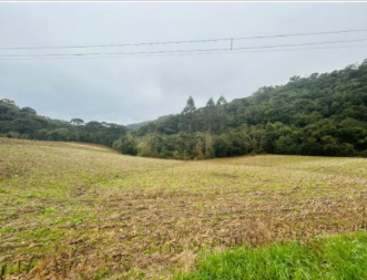 Área De 11,36 Has - Sem Benfeitorias - Venâncio Aires/rs, localizado em Venâncio Aires - RS